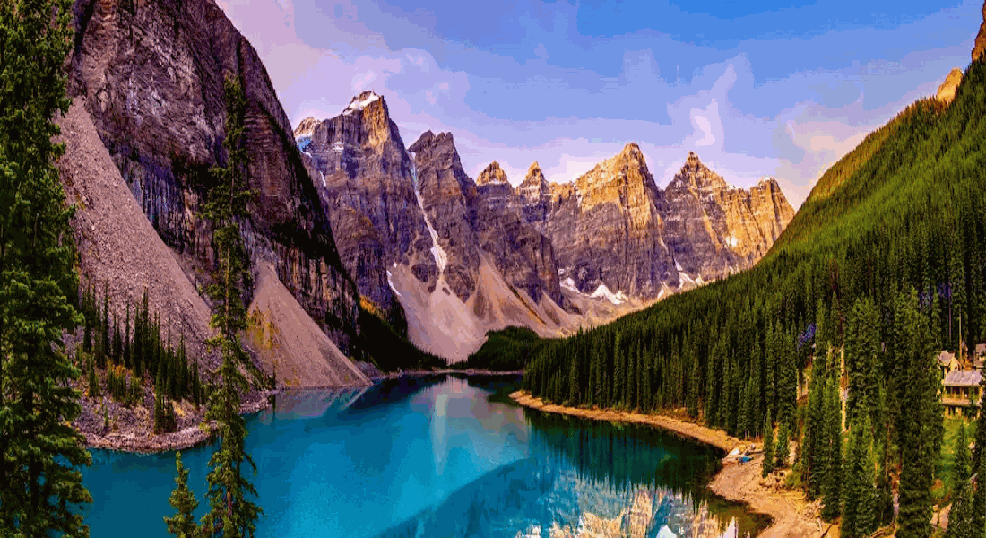 Odoo - Sample 1 for three columns