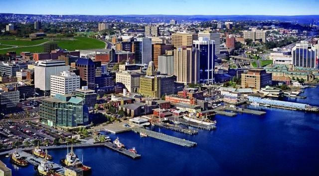 Odoo - Sample 1 for three columns