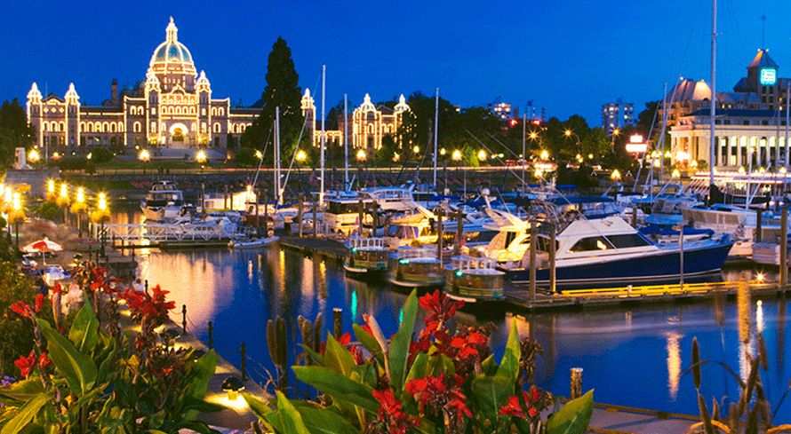 Odoo - Sample 1 for three columns